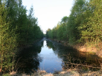 Naturschutzgebiet Hahnenmoor