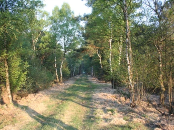 Naturschutzgebiet Hahnenmoor