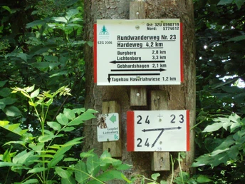 Salzgitter Höhenzug, Wanderwege 23 und 24 parallel zum Geopfad Salzgitter-Lichtenberg