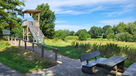 Kapellenmoor, Niederlangen - Hümmling-Pfade, Aussichtsplattform ©Naturpark Hümmling.jpg Holzaussichtsplattform mit Treppe am Kapellenmoor, umgeben von Wiesen, Bäumen und Sitzbank.