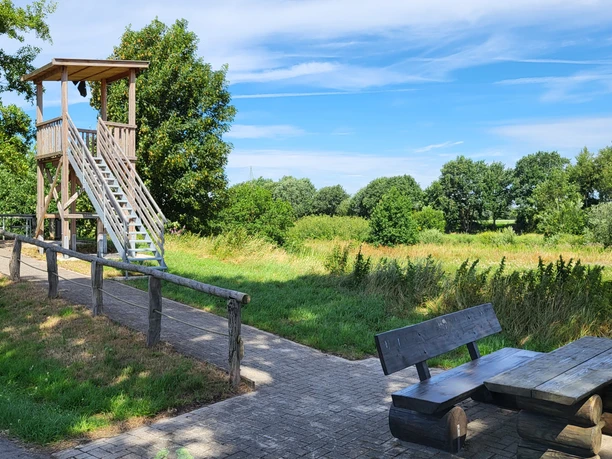 Kapellenmoor, Niederlangen - Hümmling-Pfade, Aussichtsplattform ©Naturpark Hümmling.jpg Holzaussichtsplattform mit Treppe am Kapellenmoor, umgeben von Wiesen, Bäumen und Sitzbank.