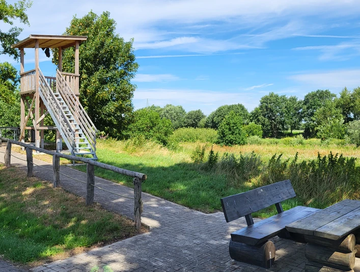Kapellenmoor, Niederlangen - Hümmling-Pfade, Aussichtsplattform ©Naturpark Hümmling.jpg