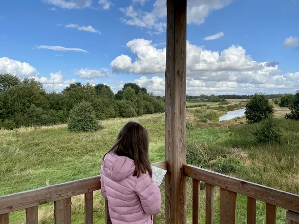 Kapellenmoorgraben, Niederlangen – Ausflug zum Aussichtsturm & Informationshütte ©Naturpark Moor-Veenland (7).jpeg Kind mit rosa Jacke blickt vom hölzernen Aussichtsturm über das grüne Moorgebiet mit Fluss und Wolkenhimmel.