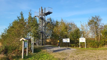 Leegmoor - Naturschutzgebiet in Surwold ©Naturpark Hümmling (6).jpg Metallener Aussichtsturm mit Wendeltreppe am Rand eines Moores, umgeben von herbstlichen Bäumen.