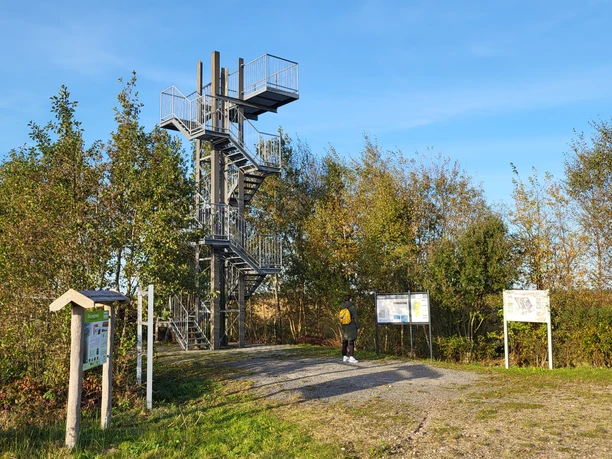 Leegmoor - Naturschutzgebiet in Surwold ©Naturpark Hümmling (6).jpg Metallener Aussichtsturm mit Wendeltreppe am Rand eines Moores, umgeben von herbstlichen Bäumen.