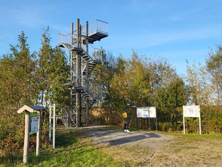 Leegmoor - Naturschutzgebiet in Surwold ©Naturpark Hümmling (6).jpg
