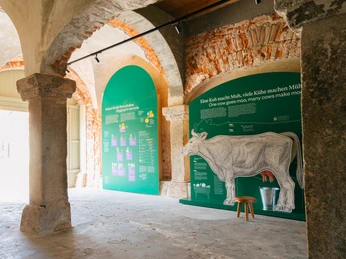 Neueroeffnung-Rammenau_c_Schloesserland-Sachsen-Alexander-Gentzel-1592_01.jpg Innenansicht eines Gebäudes mit Ausstellungswänden über Kühe und Milchproduktion.Interior view of a building with exhibition walls about cows and milk production.Pohled do interiéru budovy s výstavními stěnami o kravách a produkci mléka.Widok wnętrza budynku ze ścianami wystawowymi na temat krów i produkcji mleka.Binnenaanzicht van een gebouw met tentoonstellingswanden over koeien en melkproductie.Vista interna di un edificio con pareti espositive sulle mucche e la produzione di latte.