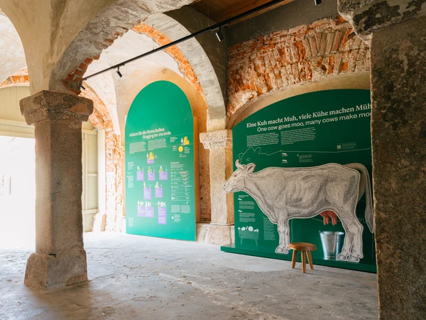 Neueroeffnung-Rammenau_c_Schloesserland-Sachsen-Alexander-Gentzel-1592_01.jpg Innenansicht eines Gebäudes mit Ausstellungswänden über Kühe und Milchproduktion.