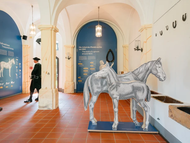 Neueroeffnung-Rammenau_c_Schloesserland-Sachsen-Alexander-Gentzel-1599.jpg Ausstellungsraum im Schloss Rammenau mit historischen Pferdedarstellungen und Besuchern.