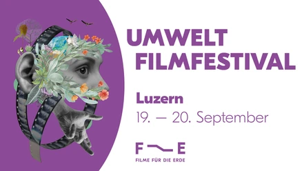 Festival 25 Header Luzern (1)