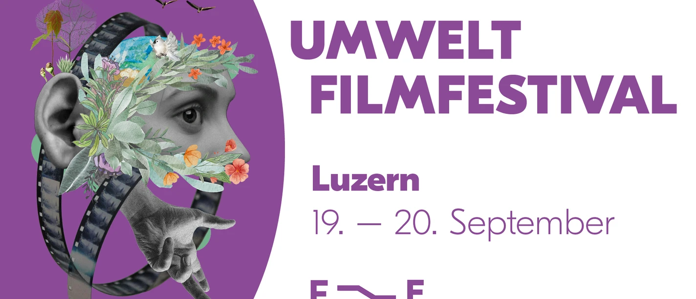 Festival 25 Header Luzern (1)