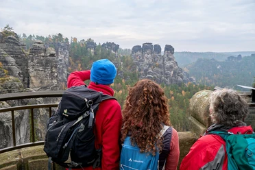 Von der Basteibrücke Blick auf die Gänse