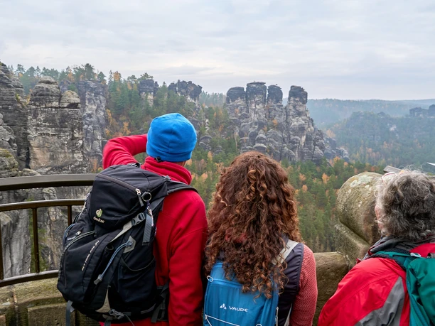 Von der Basteibrücke Blick auf die Gänse