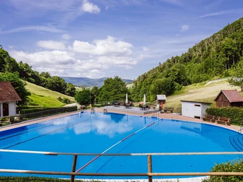 Schwimmbad Reichental, 11.06 (3)_klein