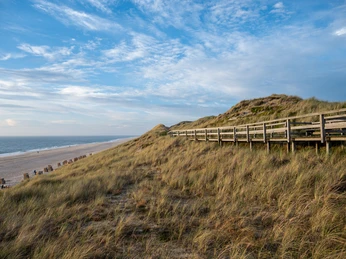 Kliffweg Richtung Kampen