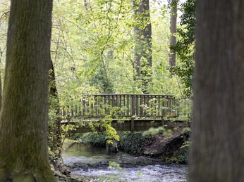 Brücke über die Lutter im Lutterwald