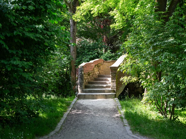 2024_Wilhelmspark_Quelle Stadt Bad Soden am Taunus (6).jpg