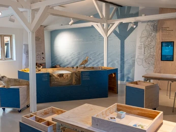 Ausstellung im Naturzentrum Braderup