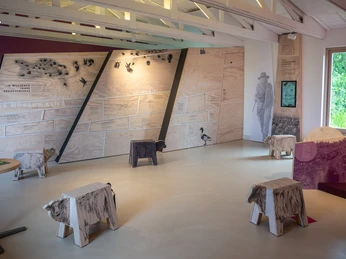 Ausstellung im Naturzentrum Braderup