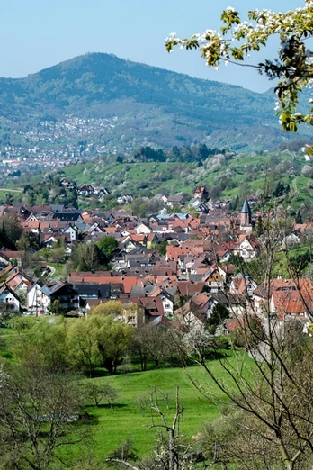 Ortsansicht Loffenau