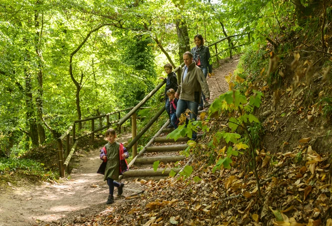 Wanderer an den Laufbachwasserfällen