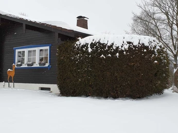 Blockhaus am Edersee