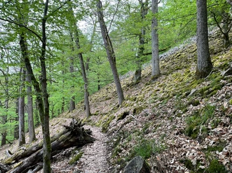 Blockhalde in der Waldeckischen Schweiz