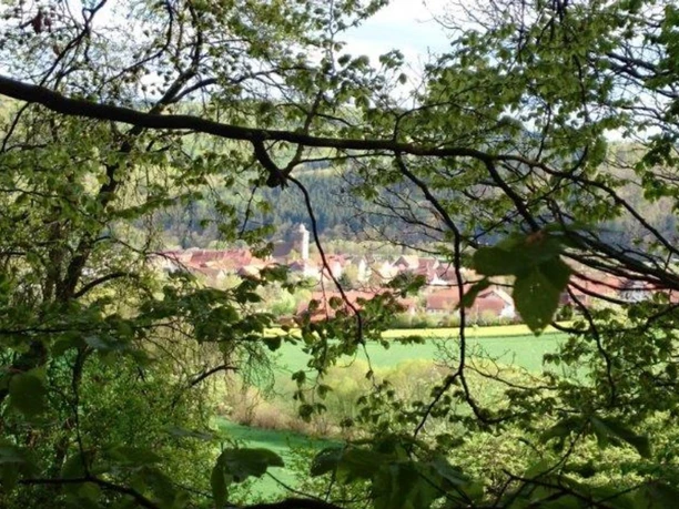 Ferienwohnungen Finnisches Blockhaus