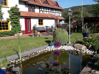 Libellen und Molche besiedeln den Teich