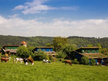 Ferienhaus Bio-Bauernhof Schöneweiß