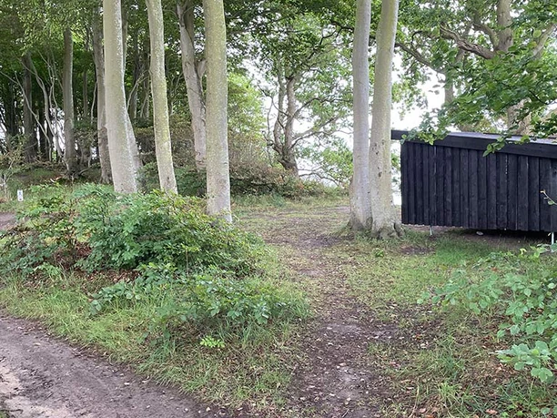Bookbar-minishelter-Hejren-Sønderskoven-Als©Sønderborg-Kommune Bookbar-minishelter-Hejren-Sønderskoven-Als©Sønderborg-Kommune