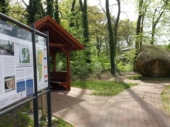 Koloss von Hüven – Geo-Tipp ©Emsland Tourismus GmbH (4).jpg