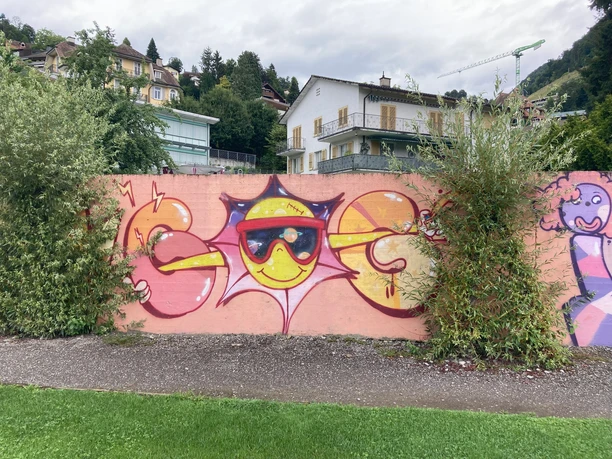 Zielwand zwischen den beiden Büschen mit Smilie