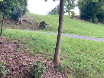 Urban Golf Weggis Bahn Rigiblick