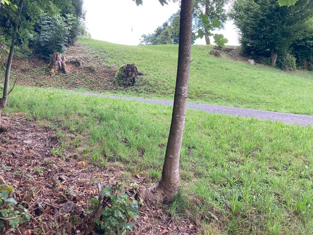 Urban Golf Weggis Bahn Rigiblick