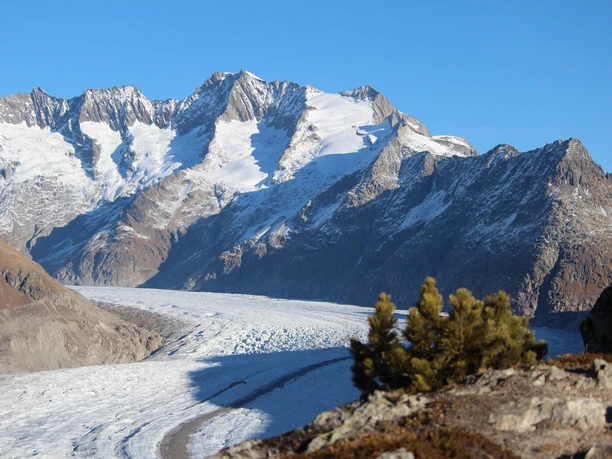 Aletschgletscher