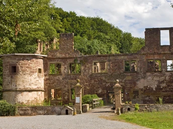 Wasserschlossruine in Menzingen