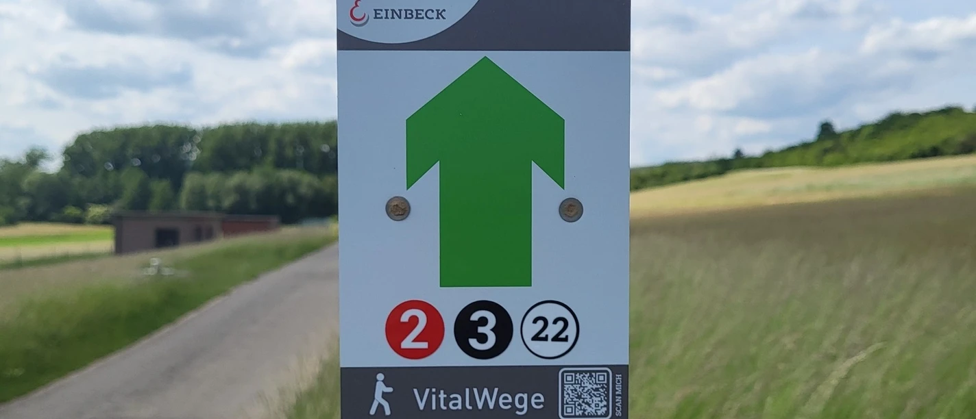 Beschilderung auf dem VitalWeg 2,3,22 Signpost for VitalWeg 2 in Einbeck with green arrow and number symbols on a country lane.