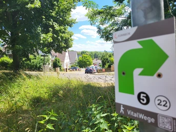 Beschilderung auf dem VitalWeg 5 und 22 Wegweiser der VitalWeg Routen 5 und 22 mit grünem Pfeil, umgeben von Bäumen und Wohnhäusern.