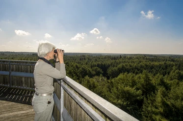 Erholungsgebiet Surwolds Wald – Blick vom Aussichtsturm auf den Hümmling ©Naturpark Hümmling (1).jpg Eine Person blickt vom Aussichtsturm über den dichten Wald im Naturpark Hümmling.