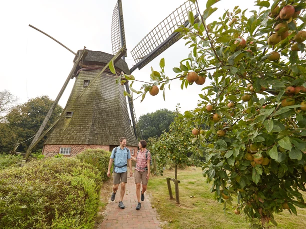 Hilter Mühle bei Lathen – Wanderer auf dem Hilter Berg ©Naturpark Hümmling (28).jpg Zwei Wanderer gehen auf einem Weg an der historischen Hilter Mühle mit Obstbäumen vorbei.