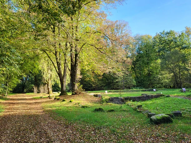 Alte Dorfstelle Wahn, Erinnerungsort ©Naturpark Hümmling (2).jpg Baumbestandener Pfad im Sonnenlicht neben grasbewachsenen Mauerresten der alten Dorfstelle Wahn.