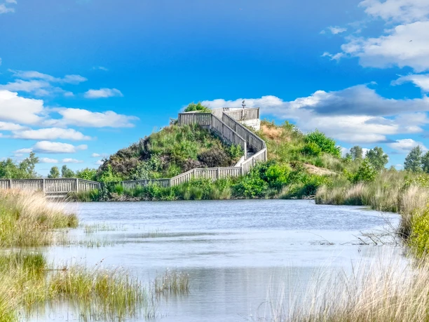 Esterweger Dose - Naturschutzgebiet in Esterwegen, Aussichtshügel ©Naturpark Hümmling (4).jpg Holzstege führen durch das Moor zum begrünten Aussichtshügel mit weitem Blick über die Esterweger Dose.