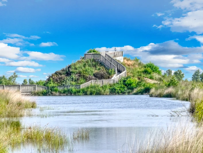 Esterweger Dose - Naturschutzgebiet in Esterwegen, Aussichtshügel ©Naturpark Hümmling (4).jpg
