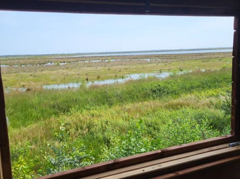 Vogelbeobachtung Bockhorst_Esterweger Dose ©Naturpark Hümmling (1).jpg