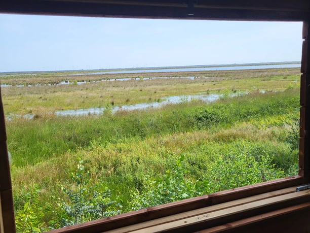 Vogelbeobachtung Bockhorst_Esterweger Dose ©Naturpark Hümmling (1).jpg Blick aus einer Holzbeobachtungshütte auf grüne Feuchtwiesen und Wasserflächen der Esterweger Dose