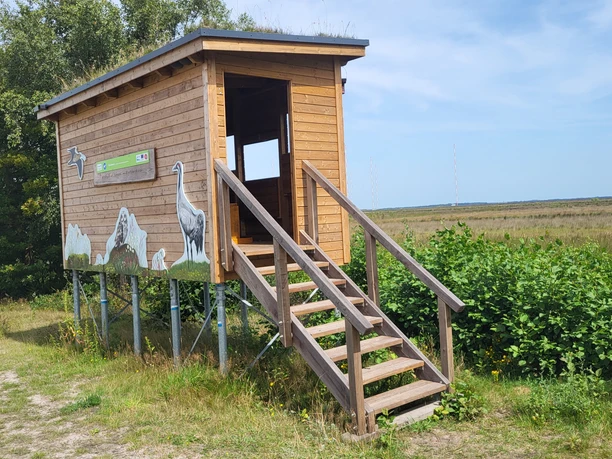 Vogelbeobachtung Bockhorst_Esterweger Dose ©Naturpark Hümmling (2).jpg Holzbeobachtungshütte mit Vogelmotiven in weiter Moorlandschaft unter blauem Himmel.