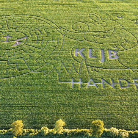 Maislabyrinth Handrup