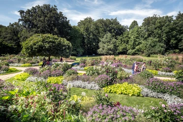 Botanischer Garten © Detlef Güthenke.jpg Arrangierte Blumenbeete