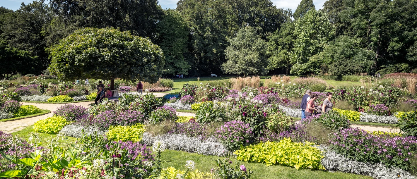 Botanischer Garten © Detlef Güthenke.jpg Arrangierte Blumenbeete